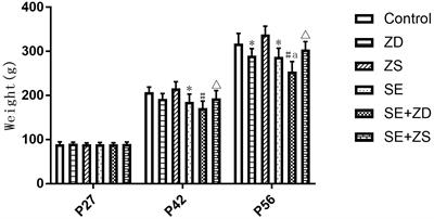 Long-Term Effects of Zinc Deficiency and Zinc Supplementation on Developmental Seizure-Induced Brain Damage and the Underlying GPR39/ZnT-3 and MBP Expression in the Hippocampus